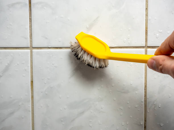 Best Mold Damage Repair  in Mi Wuk Village, CA