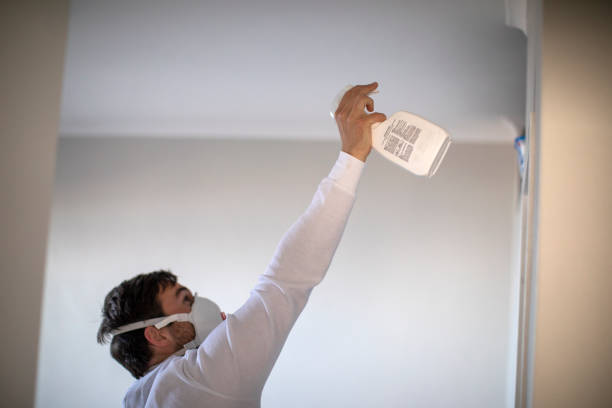 Best Mold Removal Company Near Me  in Mi Wuk Village, CA