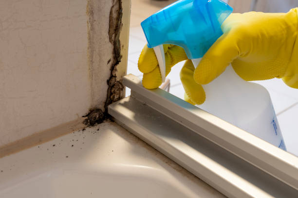 Best Emergency Mold Removal  in Mi Wuk Village, CA