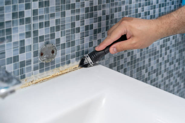 Best Local Mold Removal Service  in Mi Wuk Village, CA